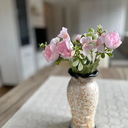 Studio Apartman شقة *